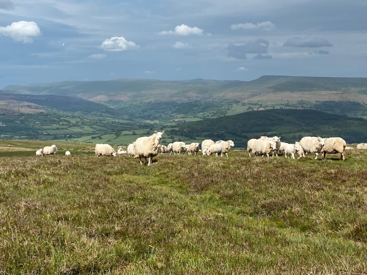 Pant Llwyd Farm Llangynidr Exterior foto
